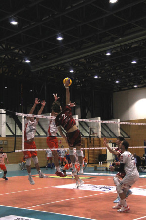 Bristot UniTrento