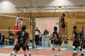 Lucconi Vigilar Fano