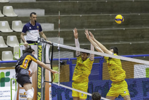 Tallone attacca sulle mani del muro