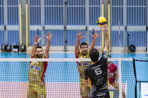 Lucconi in pallonetto 