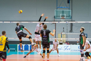 Gitto in attacco