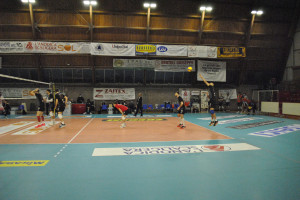Battuta Monopoli