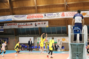 Alzata Govoni