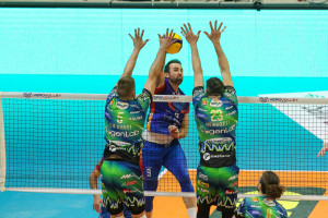 Georg Grozer