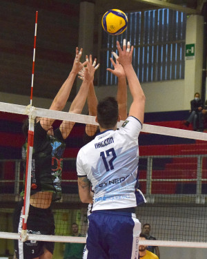 Pallonetto di Mazzon su muro di Alberini e Acuti