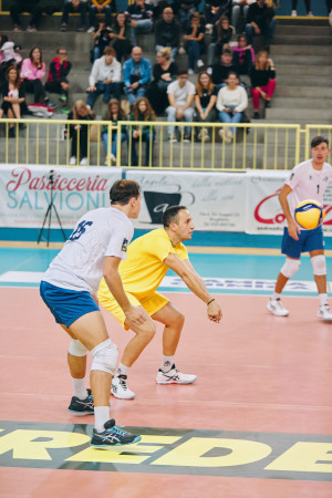 Ricezione di Gallo