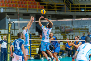 Leone in palleggio