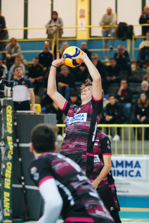Alzata di Selleri