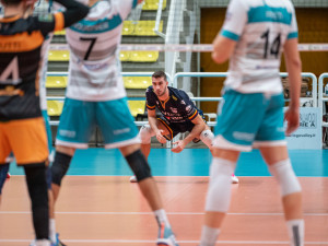 Ferrini in campo