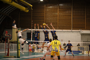 Muro Ghelfi G.- Canossa - Stohr