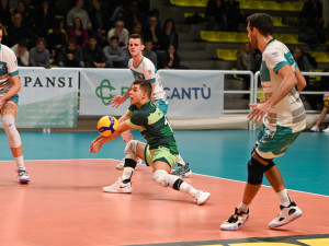 Ricezione Picchio