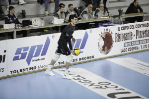 Battuta Fano