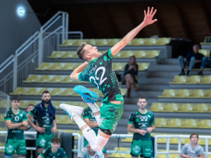 Servizio Gamba