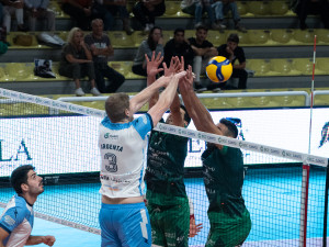 Gioco a rete
