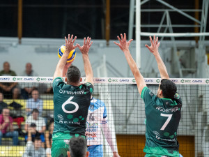 Gioco a rete