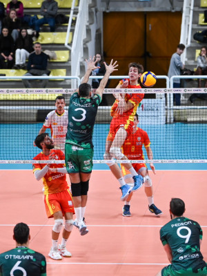 Attacco Volpe