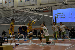 STEFANO GOZZO