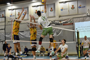 STEFANO GOZZO