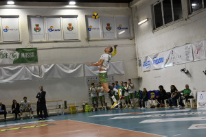 DAVID SZABO
