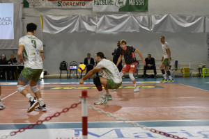 STEFANO GOZZO