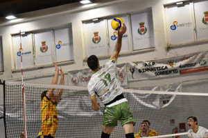 STEFANO GOZZO