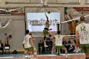 STEFANO GOZZO