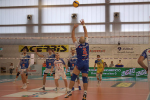 il libero Catellani