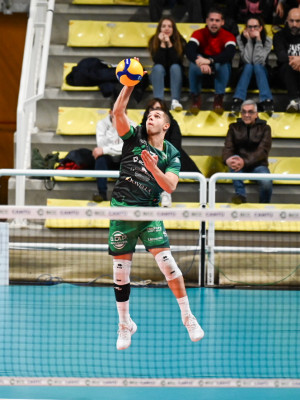 Battuta Picchio