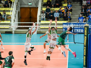 Attacco Gamba