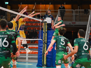 Attacco Gamba