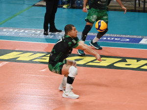 Ricezione Picchio