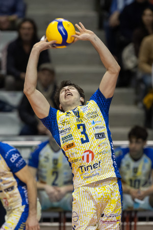 Alberini