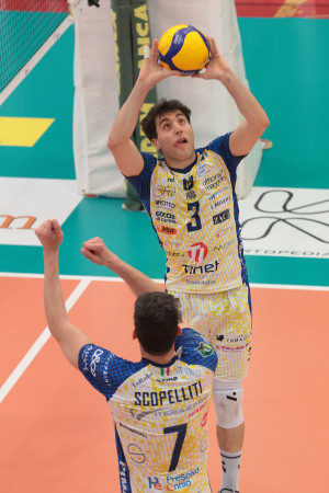 Alberini