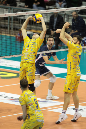 Alberini