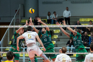 ATTACCO CANELLA