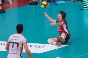 Bonami