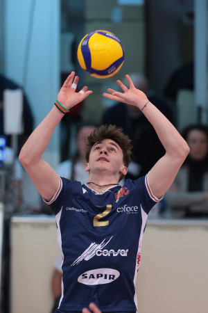 selleri