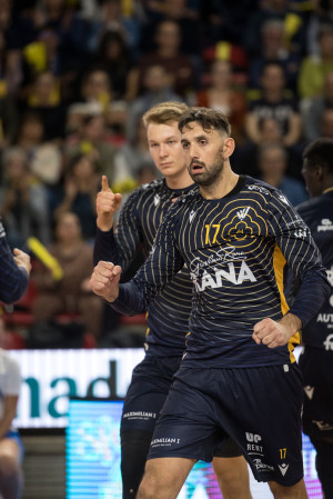 Vitelli in azione