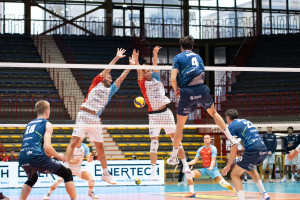 Attacco di Merlo