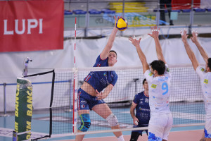 Attacca Nelli