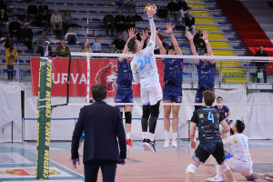 Allik pi&ugrave; in alto del muro toscano