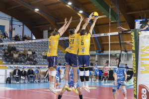 Muro Mirandola