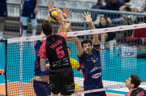 Tallone sul muro di Ravenna