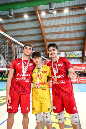 Pollini, Asoli e Iurlaro